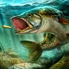Обложка игры «Ultimate Fishing Simulator»