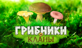 Обложка игры «Грибники и Кланы»
